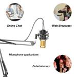 Black Microphone Live Stream Broadcast Recording Microphone Professional