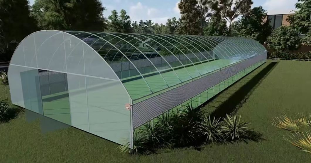 Film Solar Greenhouses Steel Structure Single Span Tunnel Greenhouse