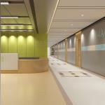 Custom Cleanroom PVC Flooring Roll Antibacterial Hospital Vinyl Flooring