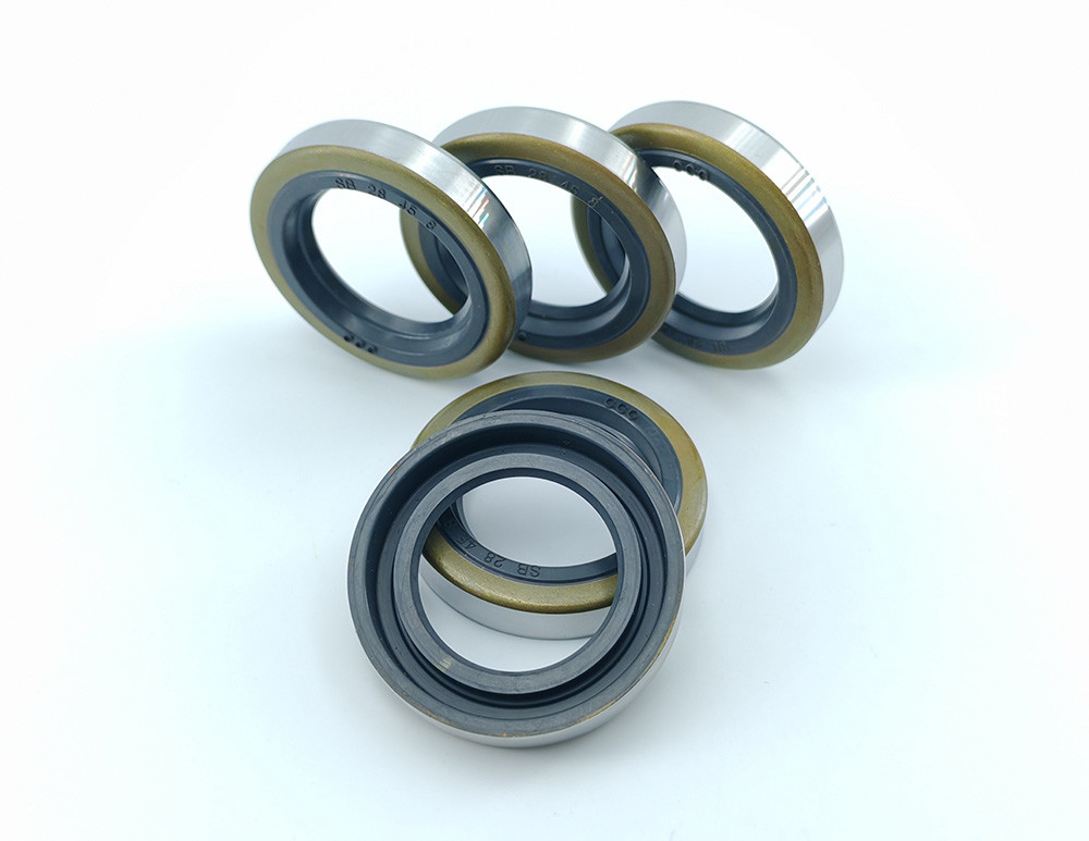 Mechanical Rubber SB TYPE Oil Seal Rotary Shaft Oil Seals Diesel Engine Oil Sealing