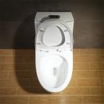 Dual Flush Water Saver Titan Elongated Toilet American Cupc Standard