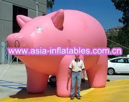 Quality Inflatable helium pig balloon wholesale
