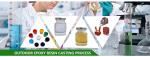 Casting Producing Indoor Room Temperature Epoxy APG Process