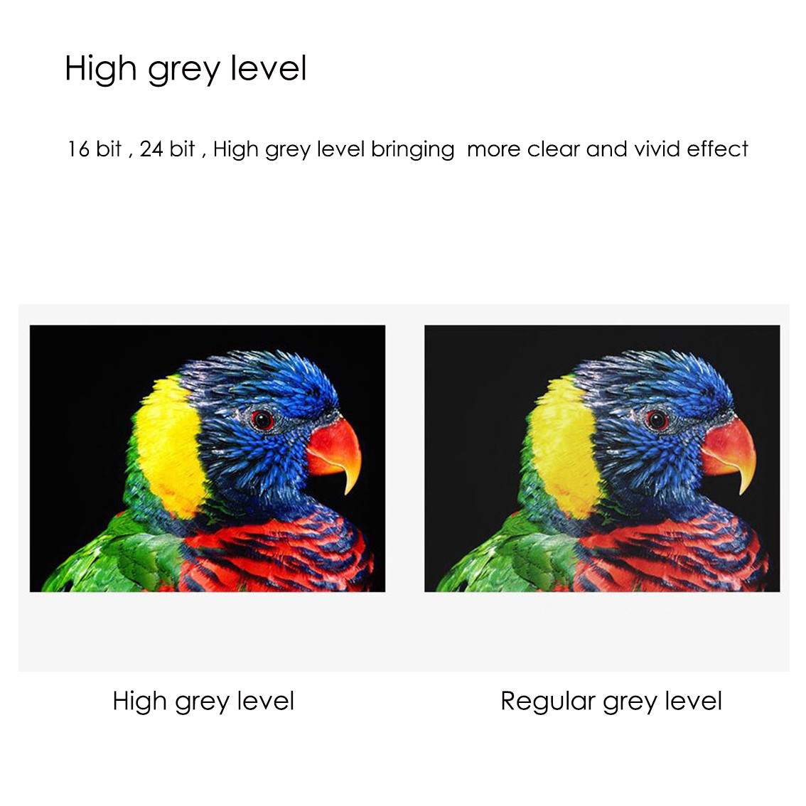 Smart TV Led HD High Frame Frequency No Ghosting High Standard AC 110 / 220V