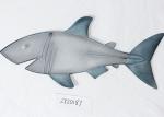 Blue Home Decoration Hanging 3D metal shark wall decor