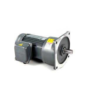 Quality AC Output Speed 570rpm Compact Gear Motor Small Size wholesale