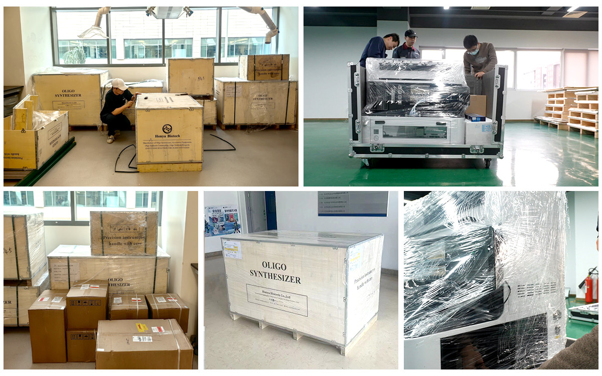 Automatic Nucle Acid Synthesizer , DNA RNA LNA Modified Synthesis Machine