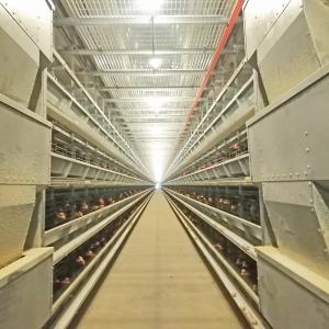 Quality HDG Automatic Poultry Feeding System 8.67m/Min 0.75kw Chicken Cage Feeder wholesale