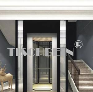 Quality 630kg 800kg 1000kg 1150kg 2.0m/S Panoramic Elevator With Hairline St. St. Finish For Hotel Residential Building wholesale