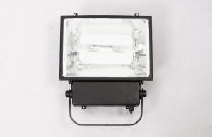 Quality HFED FLOODLIGHTS HFC082007 100W IP65 FOR LANDSCAPE LIGHTING wholesale