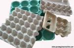 Egg tray plant(FC-ZMW-2)