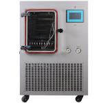 Standard Type Lab Vacuum Freeze Dryer Freeze Drying Machine