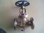 Bolted Bonnet Pneumatic Globe Valve OS & Y Stailness Steel DIN PN16