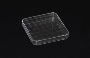 Quality Plastic Petri Dish 100X15mm square shape wholesale