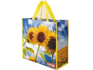 Quality Simple Design PP Non Woven Shopping Bags , Laminated Non Woven Fabric Carry Bag wholesale