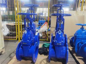 Quality GGG40 / GGG50 Wedge Gate Valve For Flanged Connection In Industrial Settings wholesale