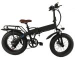 750w 20 Inch Fat Tire Electric Bike