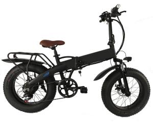 Quality 750w 20 Inch Fat Tire Electric Bike wholesale
