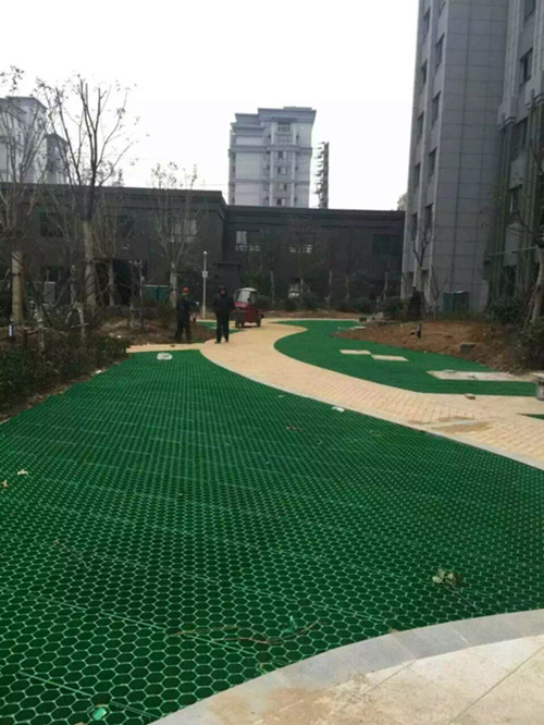 Black Green HDPE Plastic Grass Paver Grid for Parking Lot Planting Durable and Strong