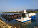 Lake Cleaning 15CBM Aquatic Weed Harvester Water Grass Harvesting Machine
