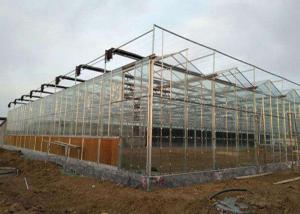 Quality 10m Single Span Greenhouse wholesale