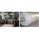 PP Blister Sheet Making Machine Polypropylene Polystyrene Sheet Thermoforming