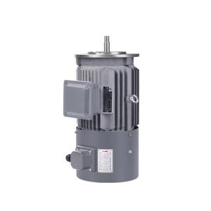 Quality Brushless Asynchronous Induction Motors 40hp 30kw 200kw 250kw 280kw 315kw wholesale