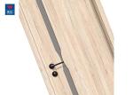 Modern Melamine Veneer Room Fireproof Eco Friendly Doors