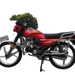 Safety CDI Ignition 50cc Street Legal Motorcycle Weather Proof