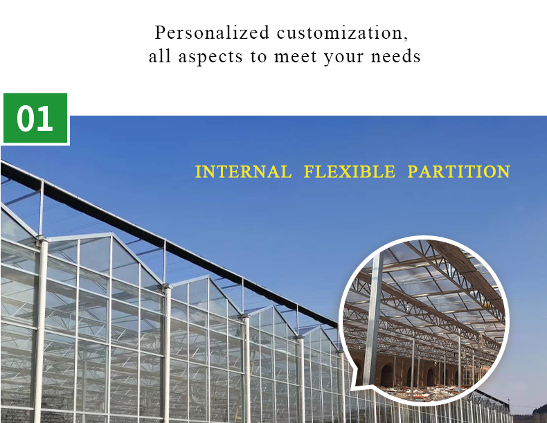 Large Glass Covered Garden Greenhouses for Versatile Planting Options