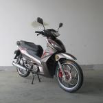 7500RPM CDI Ignition TR135-NF 135CC Cub Motorcycle