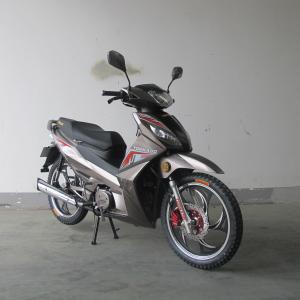 Quality 7500RPM CDI Ignition TR135-NF 135CC Cub Motorcycle wholesale