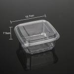 Pastry Preserved Fruits Square Clear Plastic To Go Containers For Bakery Cookie
