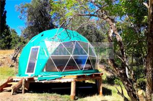 Quality Two Guest Waterproof Dome Tent Custom Designs Camping House Heat Proof Aluminium Layer wholesale
