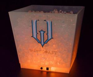 Quality 12L LED Glow Ice Buckets plastic cooler box wholesale