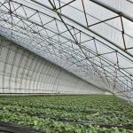 Shipping Cost and Estimated Delivery Time for Commercial Hydroponic Seeding