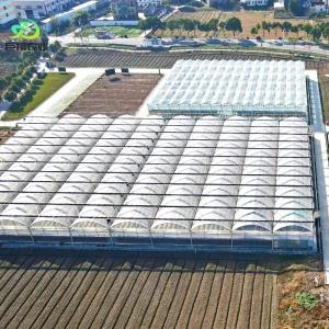 Quality Continuous Heating and Tunnel Cultivation Method Agricultural Plastic Film Greenhouse wholesale