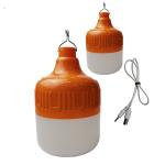 100W Automatic Charging Bulb