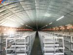 Automatic Equipment Chicken Layer Cages Hot Dip Galvanized Steel Material