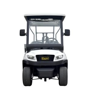 Quality 4 Seats Electric Golf Car Sightseeing Car with Ladder for Disabled People Trojan Battery Curtis Motor Controller wholesale