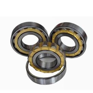 Quality 440mm 1032752 Cylindrical Roller Bearing For Automotive wholesale