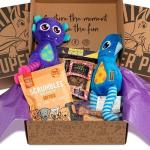 Personalised Christmas Dog Treat Box Subscription Chews Toys