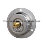 Stainless Steel Liquid Filled Pressure Gauges With Flange 1/4 BSP Back