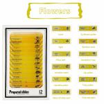 Children Toys Educational 48pcs Square Microscope Slides Combined 4 Colors