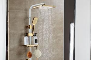 Quality DN15 Solid Brass Thermostatic Dual Head Mixer Shower wholesale
