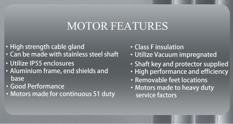 Waterproof Aluminium Housing Single-Phase Asynchronous Motor for Swimming Pool Pump 1500rpm 220V 50/60Hz