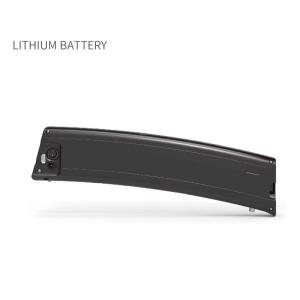 18650 48v 10ah Lithium Ion Electric Bicycle Battery Pack Long Cycle