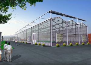 Quality Venlo Tempered Glass Greenhouse Durable With Hydroponic Growing System wholesale
