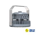 Zone 1&2 Zone 2&22 Explosion Proof Battery Powered Lights 10W
