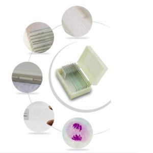 Quality Medical Lab 12pcs Prepared Botany Slides On Plant Research wholesale